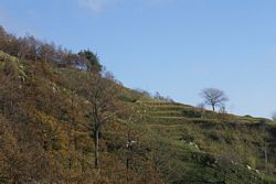 Alpi_Apuane (374), Alpinismo (498), Gr_Croce_Nona (107), Monte Croce (80)